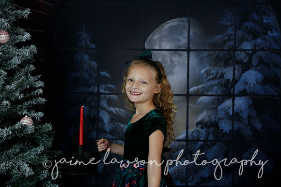 2021 Holiday Mini Session - Furlan