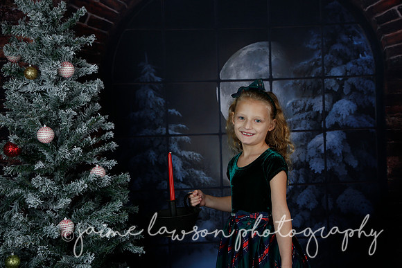 2021 Holiday Mini Session - Furlan