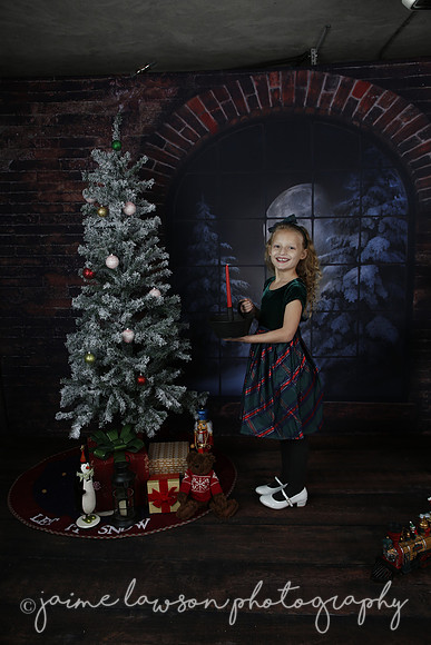 2021 Holiday Mini Session - Furlan