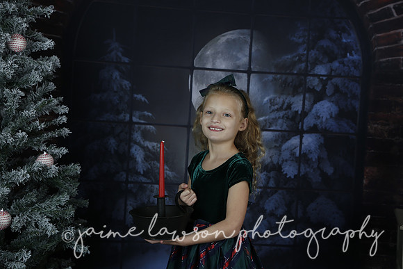 2021 Holiday Mini Session - Furlan