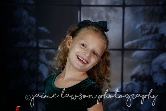 2021 Holiday Mini Session - Furlan