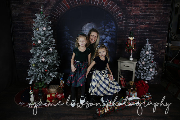 2021 Holiday Mini Session - Furlan