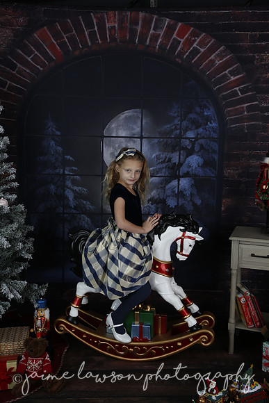 2021 Holiday Mini Session - Furlan