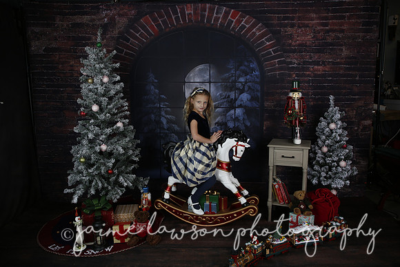 2021 Holiday Mini Session - Furlan