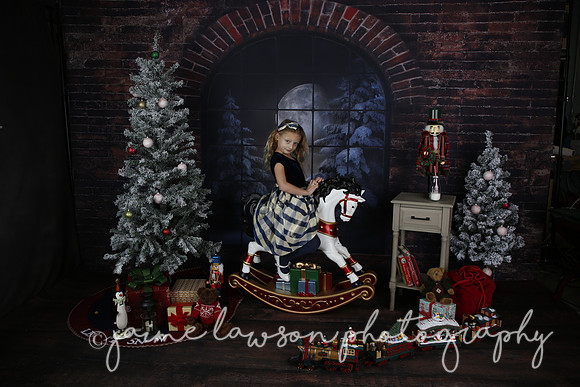 2021 Holiday Mini Session - Furlan