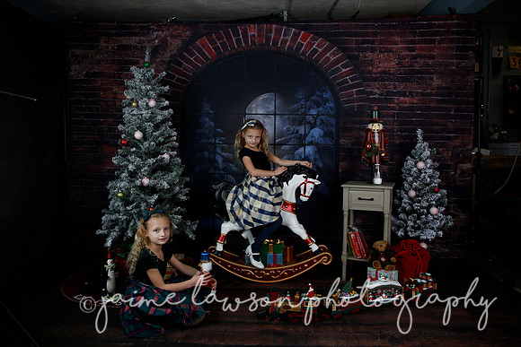 2021 Holiday Mini Session - Furlan