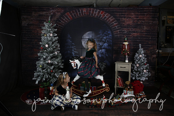 2021 Holiday Mini Session - Furlan