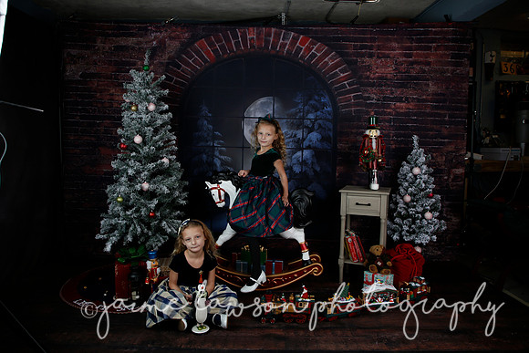 2021 Holiday Mini Session - Furlan