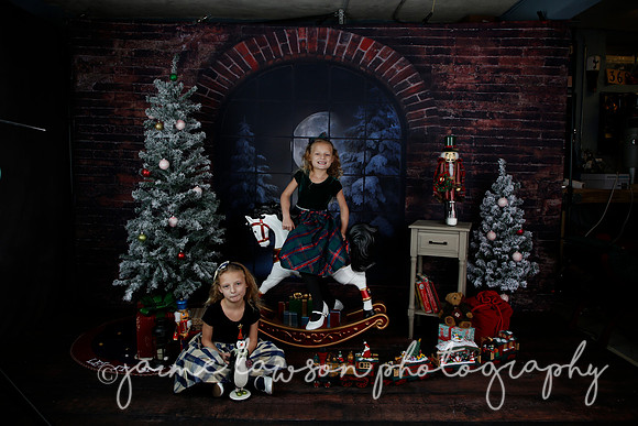 2021 Holiday Mini Session - Furlan