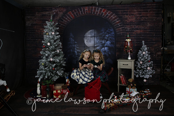 2021 Holiday Mini Session - Furlan