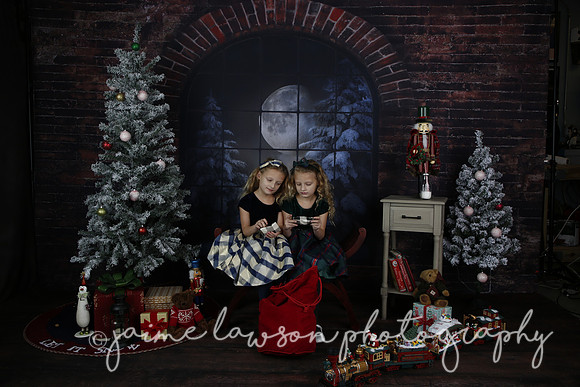 2021 Holiday Mini Session - Furlan