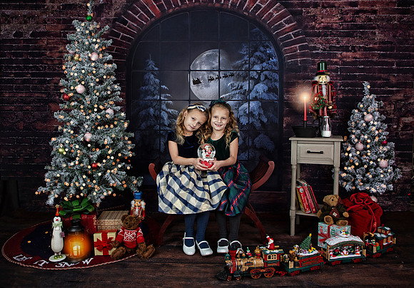 2021 Holiday Mini Session - Furlan