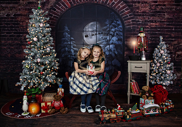 2021 Holiday Mini Session - Furlan
