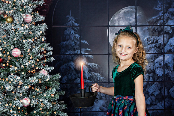 2021 Holiday Mini Session - Furlan