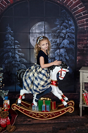 2021 Holiday Mini Session - Furlan
