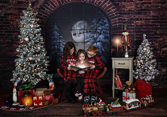 2021 Holiday Mini Session - Onuska