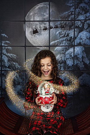 2021 Holiday Mini Session - Onuska