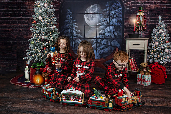 2021 Holiday Mini Session - Onuska