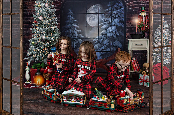 2021 Holiday Mini Session - Onuska