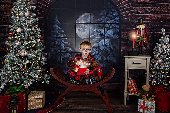 2021 Holiday Mini Session - Onuska