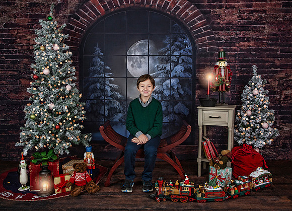 2021 Holiday Mini Session - Mayers