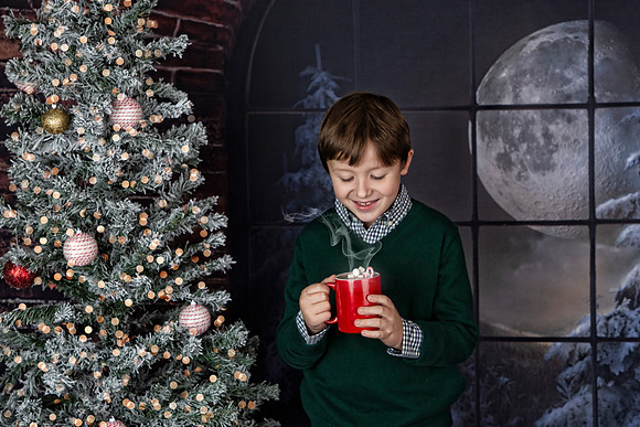 2021 Holiday Mini Session - Mayers