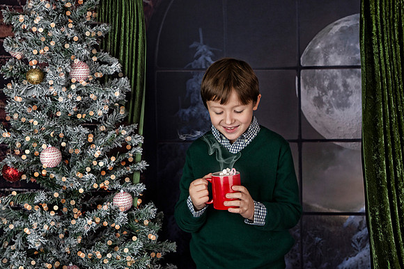 2021 Holiday Mini Session - Mayers