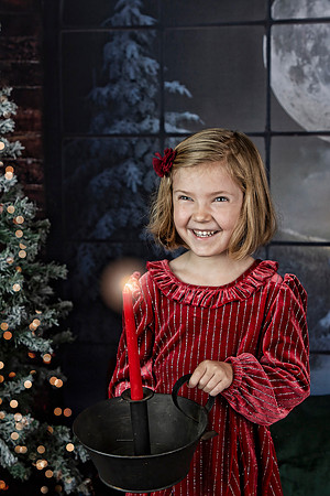 2021 Holiday Mini Session - Holl