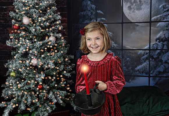 2021 Holiday Mini Session - Holl