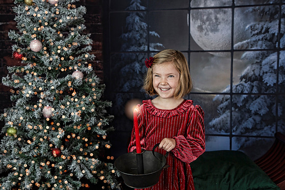 2021 Holiday Mini Session - Holl