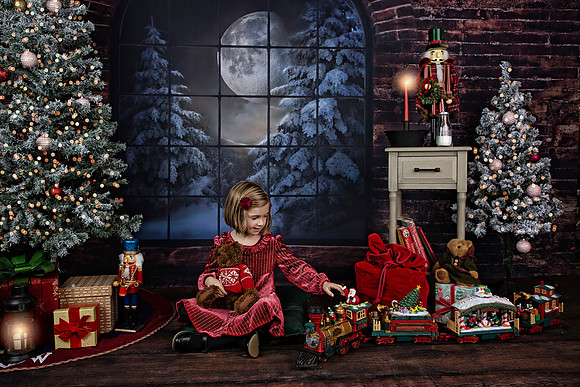 2021 Holiday Mini Session - Holl