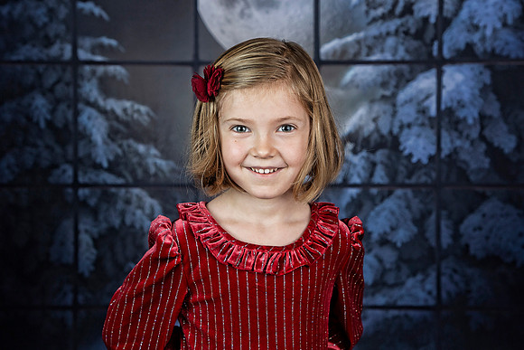 2021 Holiday Mini Session - Holl