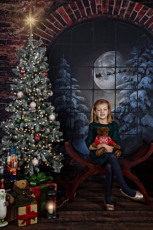 2021 Holiday Mini Session - Johnson