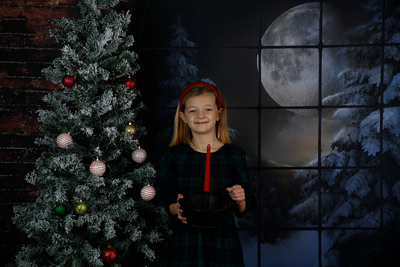 2021 Holiday Mini Session - Johnson