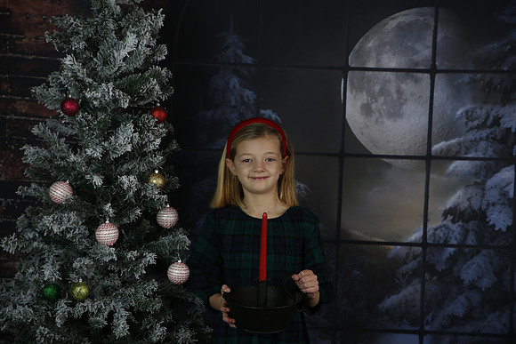 2021 Holiday Mini Session - Johnson