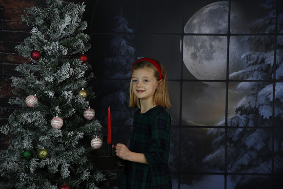2021 Holiday Mini Session - Johnson