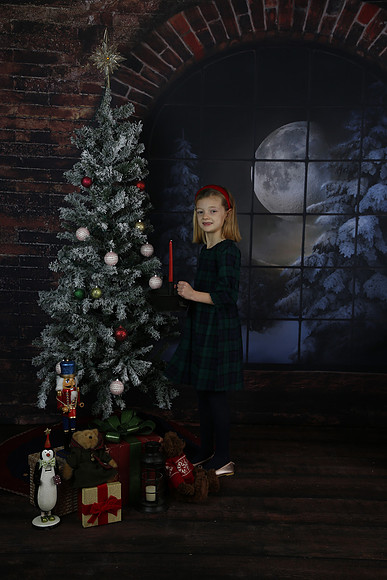 2021 Holiday Mini Session - Johnson