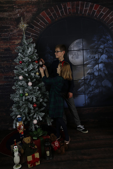 2021 Holiday Mini Session - Johnson