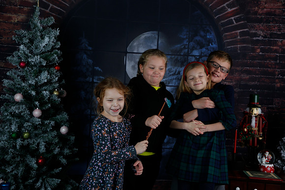 2021 Holiday Mini Session - Johnson
