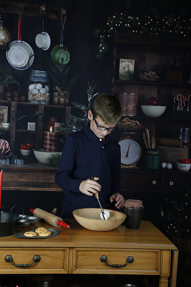 2021 Holiday Mini Session - Johnson