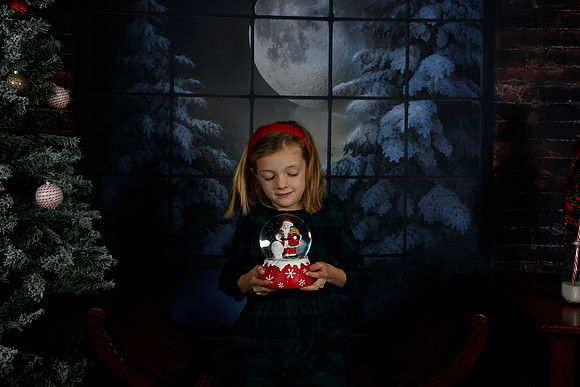 2021 Holiday Mini Session - Johnson