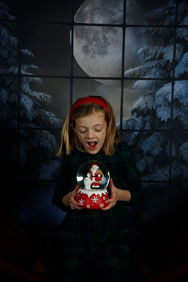 2021 Holiday Mini Session - Johnson