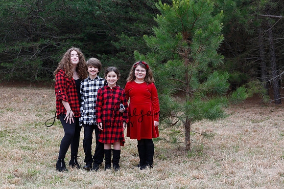 2020 Holiday Photos - Hahn