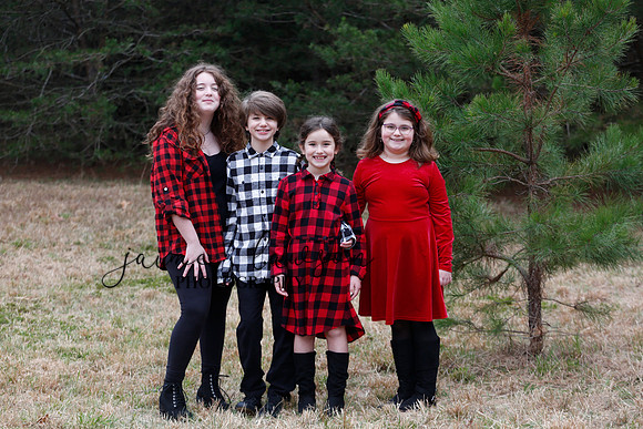 2020 Holiday Photos - Hahn