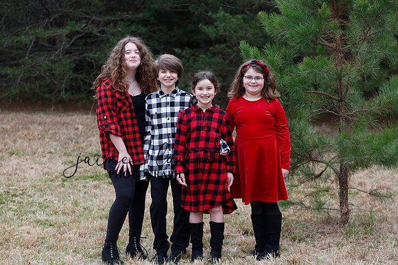 2020 Holiday Photos - Hahn