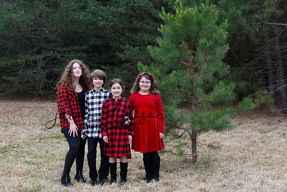 2020 Holiday Photos - Hahn