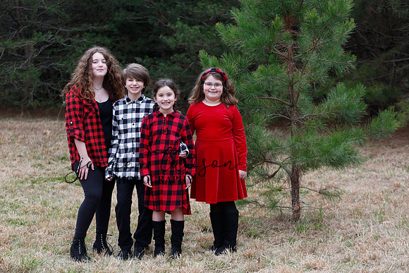2020 Holiday Photos - Hahn