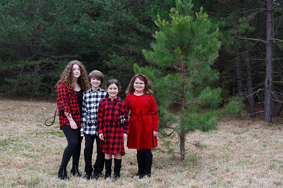 2020 Holiday Photos - Hahn