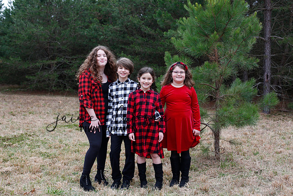 2020 Holiday Photos - Hahn
