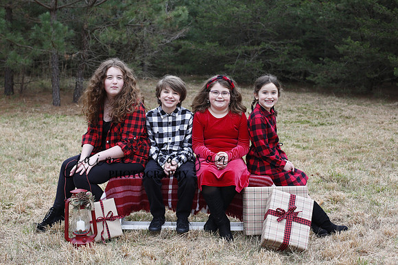 2020 Holiday Photos - Hahn